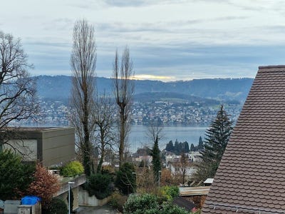 /international/ch/kusnacht-zh-zurich-canton-310098235537/