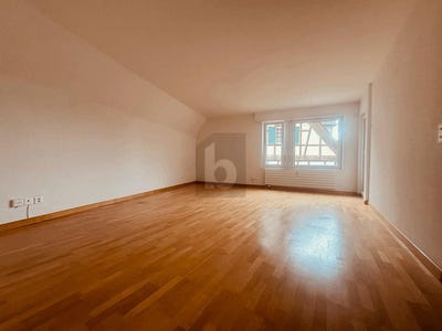 /international/ch/basel-basel-stadt-310100989377/