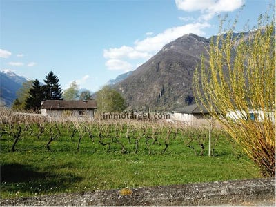 /international/ch/via-alle-cascine-7-arbedo-ticino-310108758449/