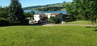/international/ch/mosen-lucerne-310107578059/
