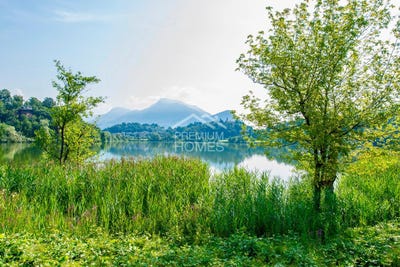 /international/ch/gentilino-gentilino-collina-d-oro-ticino-310108270456/