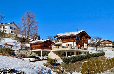 /international/ch/basse-nendaz-valais-310108589509/