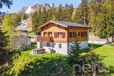 /international/ch/les-collons-les-collons-valais-310108562385/