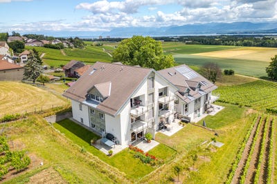 /international/ch/coinsins-vaud-310108969483/