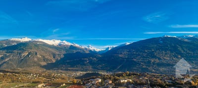 /international/ch/saviese-valais-310106051991/