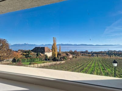 /international/ch/route-du-creux-du-mas-14-mont-sur-rolle-vaud-310105029362/