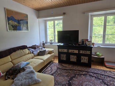/international/ch/wadenswil-zurich-310108757445/