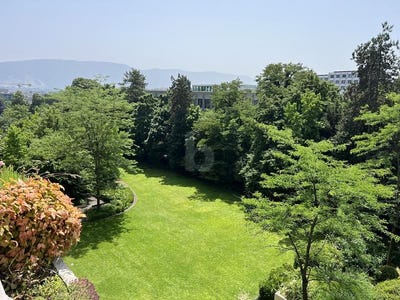 /international/ch/geneve-geneva-310100439198/