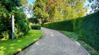 /international/ch/jolie-residence-dans-un-parc-intimiste-conches-geneva-310103799000/
