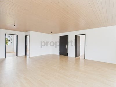 /international/ch/hunenberg-canton-of-zug-310100435064/?lang=de