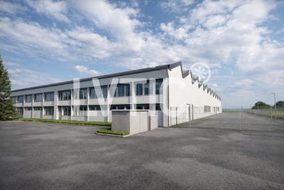 /international/ch/avenches-vaud-310109076466/
