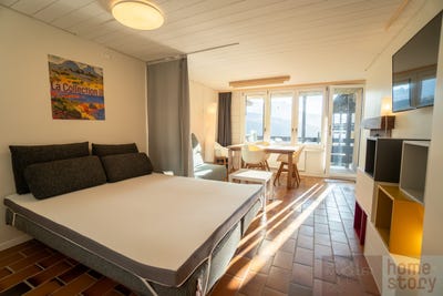 /international/ch/route-de-lalpe-des-chaux-41-gryon-vaud-310100911365/