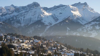 /international/ch/barboleuse-gryon-vaud-310101015015/
