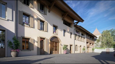 /international/ch/rue-du-vieux-college-6-cheserex-vaud-310108048111/