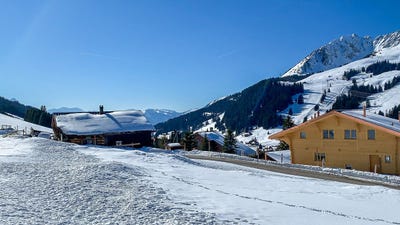 /international/ch/au-cartier-les-mosses-vaud-310104916183/