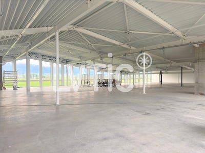 /international/ch/chavornay-vaud-310109074527/