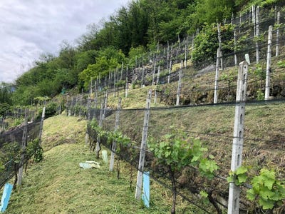 /international/ch/riazzino-ticino-310100931931/