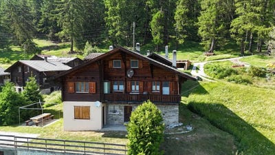 /international/ch/salwald-mund-valais-310101564377/