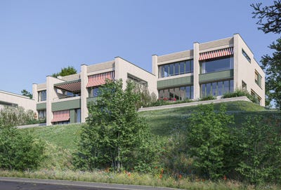 /international/ch/rosinenstrasse-3-diessenhofen-thurgau-310108968374/