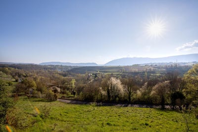 /international/ch/jussy-geneva-310108669322/
