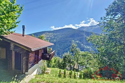 /international/ch/vex-valais-310103177503/