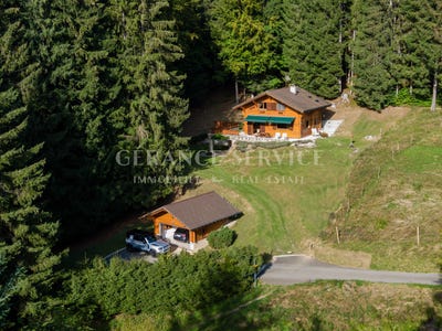 /international/ch/gryon-dans-la-foret-commune-de-bex-gryon-vaud-310104593558/