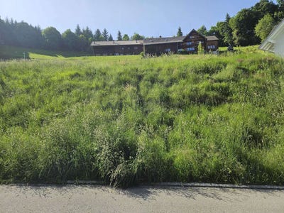 /international/ch/schwellbrunn-appenzell-outer-rhodes-310100289699/?lang=zh-cn