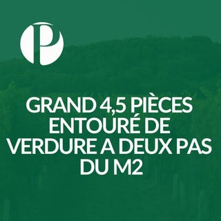 /international/ch/sur-la-ligne-du-m2-lausanne-vaud-310108047694/