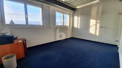 /international/ch/cossonay-ville-vaud-310100932925/