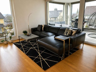 /international/ch/hedingen-zurich-310109093057/