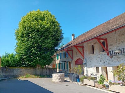 /international/ch/dizy-vaud-310108991091/