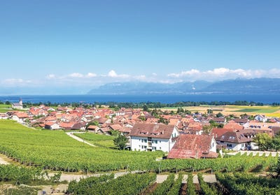 /international/ch/chemin-des-cerisiers-3-gilly-vaud-310107063851/