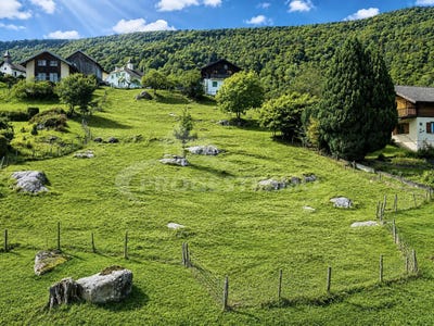 /international/ch/massongex-valais-310109074639/