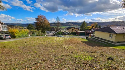 /international/ch/pieterlen-canton-of-bern-310108100852/