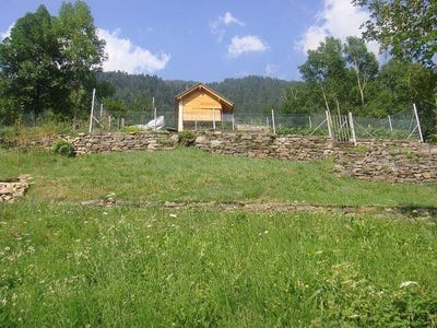 /international/ch/anzonico-ticino-310100933177/