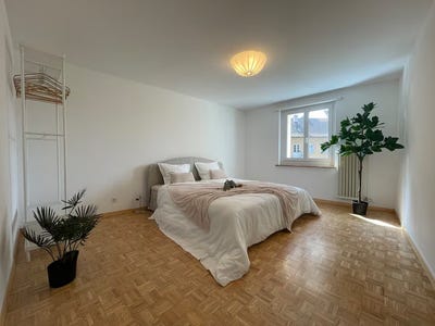 /international/ch/schaffhausen-canton-of-schaffhausen-310100013301/