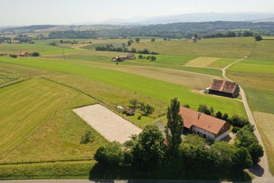 /international/ch/middes-canton-of-fribourg-310102434569/