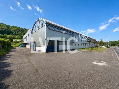 /international/ch/moudon-vaud-310109073770/