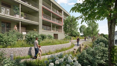 /international/ch/gemsacker-bockten-basel-landschaft-310104168388/