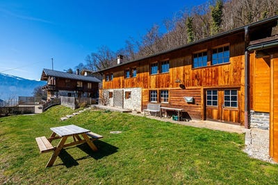 /international/ch/happy-dogs-aigle-les-afforets-12-aigle-vaud-310100906743/