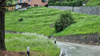 /international/ch/bosco-luganese-bosco-luganese-ticino-310100933991/