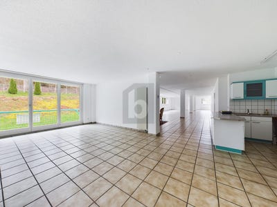 /international/ch/auf-anfrage-au-zh-zurich-canton-310101353123/?lang=zh-cn