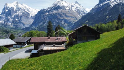 /international/ch/grindelwald-canton-of-bern-310108306146/