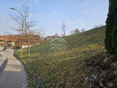 /international/ch/wasen-im-emmental-wasen-im-emmental-sumiswald-bern-canton-310109042902/