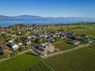 /international/ch/founex-vaud-310109170222/