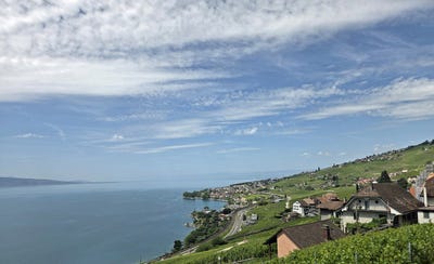 /international/ch/authenticite-calme-et-vues-magnifiques-epesses-vaud-310108759647/