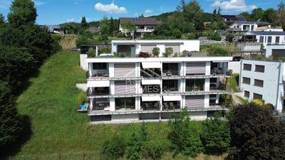 /international/ch/holstein-basel-landschaft-310108484358/