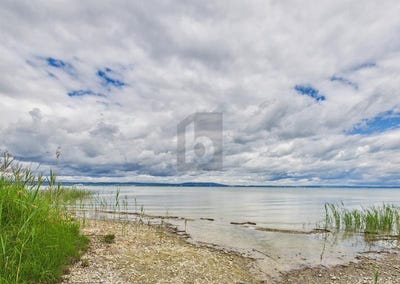 /international/ch/guttingen-thurgau-310108598108/
