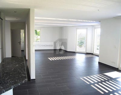 /international/ch/sins-aargau-310101204461/?lang=zh-cn