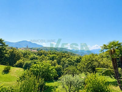 /international/ch/via-1-tesserete-ticino-310107943501/